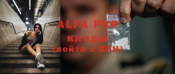 индика Алексин