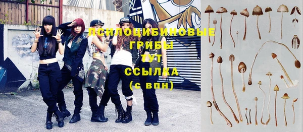 трава Абдулино