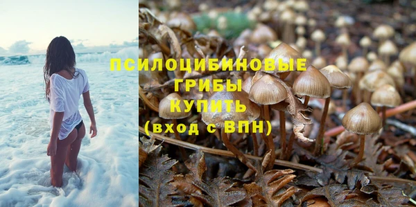трава Абдулино