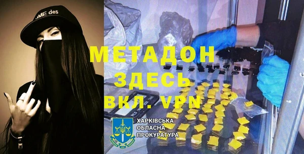индика Алексин